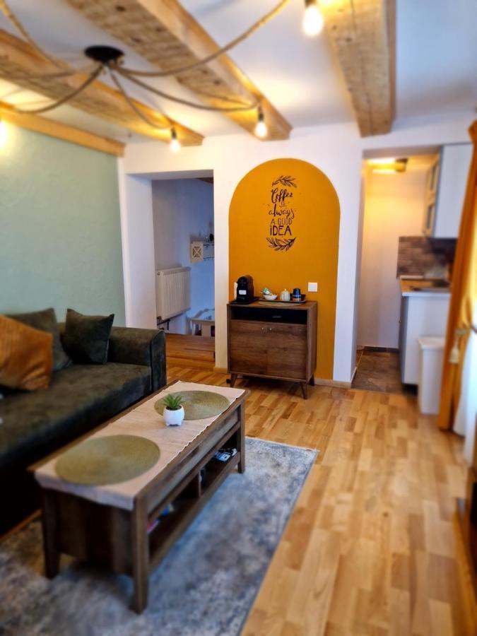Appartement Evelyn'S Place à Braşov Extérieur photo